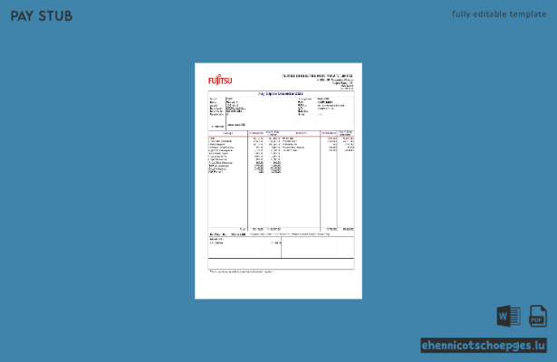 Beispiel einer Gehaltsabrechnung von Fujitsu Consulting India